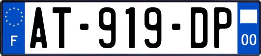 AT-919-DP