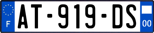 AT-919-DS
