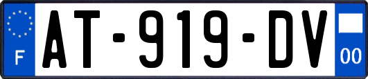 AT-919-DV