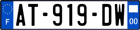AT-919-DW