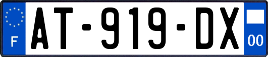 AT-919-DX