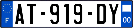 AT-919-DY
