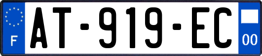 AT-919-EC