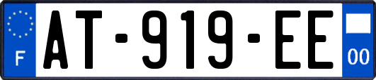 AT-919-EE