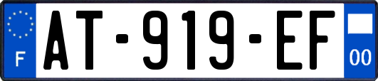 AT-919-EF