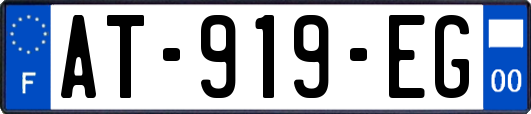 AT-919-EG