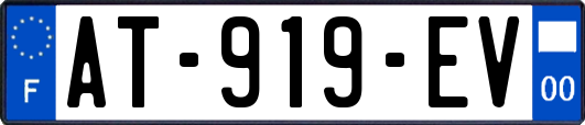 AT-919-EV