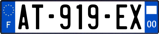 AT-919-EX