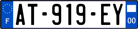 AT-919-EY