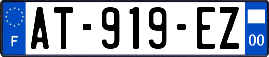 AT-919-EZ