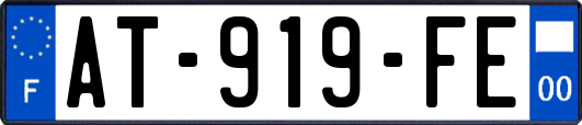 AT-919-FE