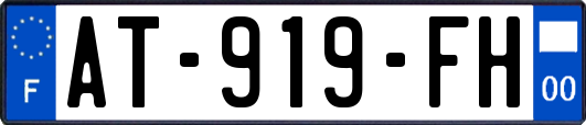 AT-919-FH