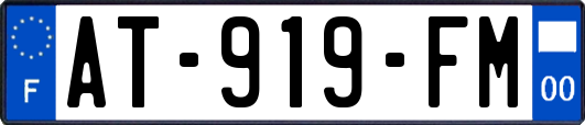 AT-919-FM