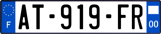 AT-919-FR