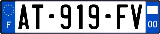 AT-919-FV