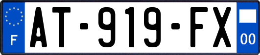 AT-919-FX