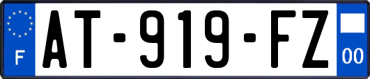 AT-919-FZ