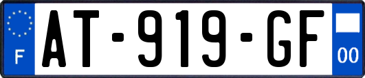 AT-919-GF