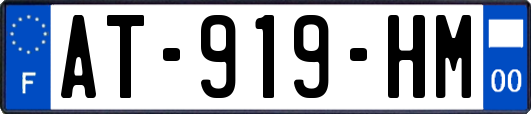 AT-919-HM