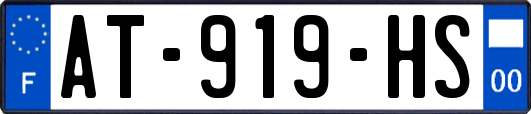AT-919-HS