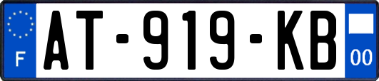 AT-919-KB