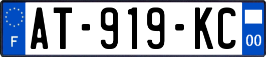 AT-919-KC