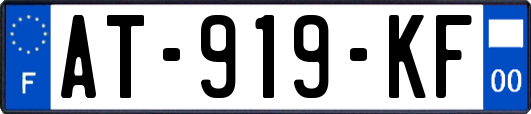 AT-919-KF