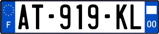 AT-919-KL