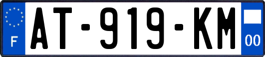 AT-919-KM