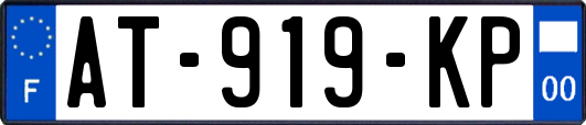 AT-919-KP