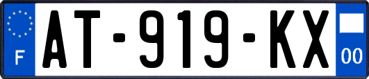 AT-919-KX