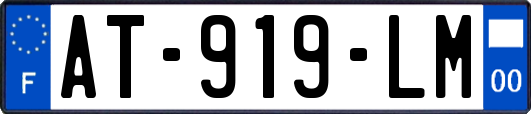 AT-919-LM
