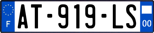AT-919-LS