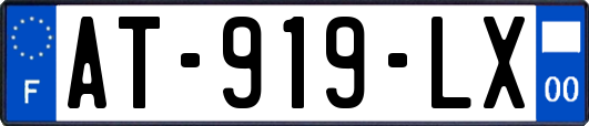 AT-919-LX