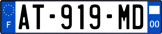 AT-919-MD