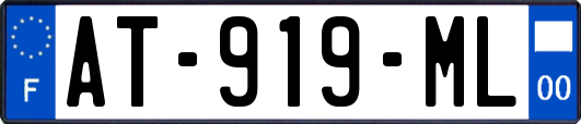 AT-919-ML