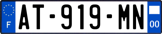 AT-919-MN