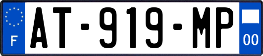 AT-919-MP