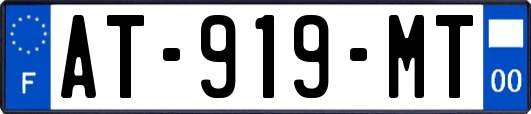 AT-919-MT