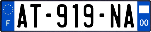 AT-919-NA
