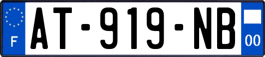 AT-919-NB