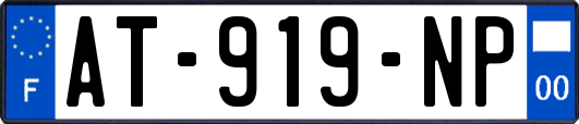 AT-919-NP