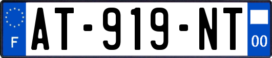 AT-919-NT
