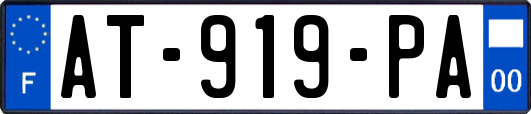 AT-919-PA