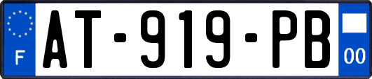 AT-919-PB