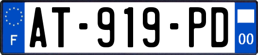 AT-919-PD