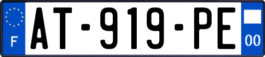 AT-919-PE
