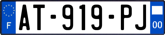 AT-919-PJ