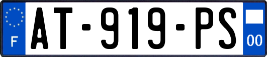 AT-919-PS
