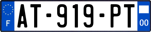 AT-919-PT